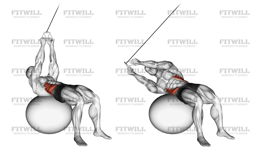 Cable Russian Twists On Stability Ball