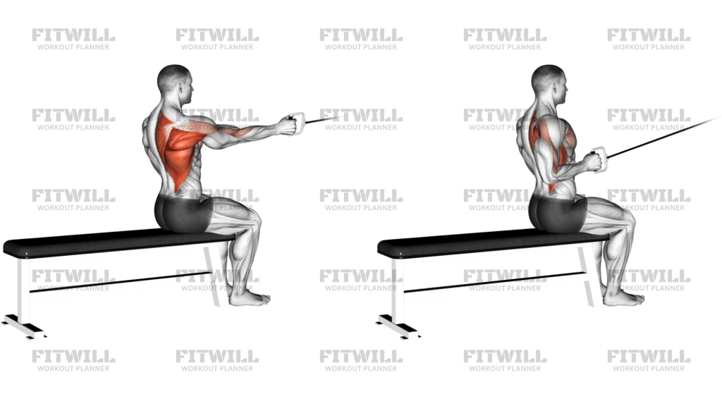 Cable Seated One-Arm Alternate Row