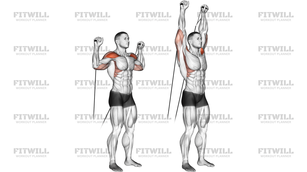 Cable Shoulder Press