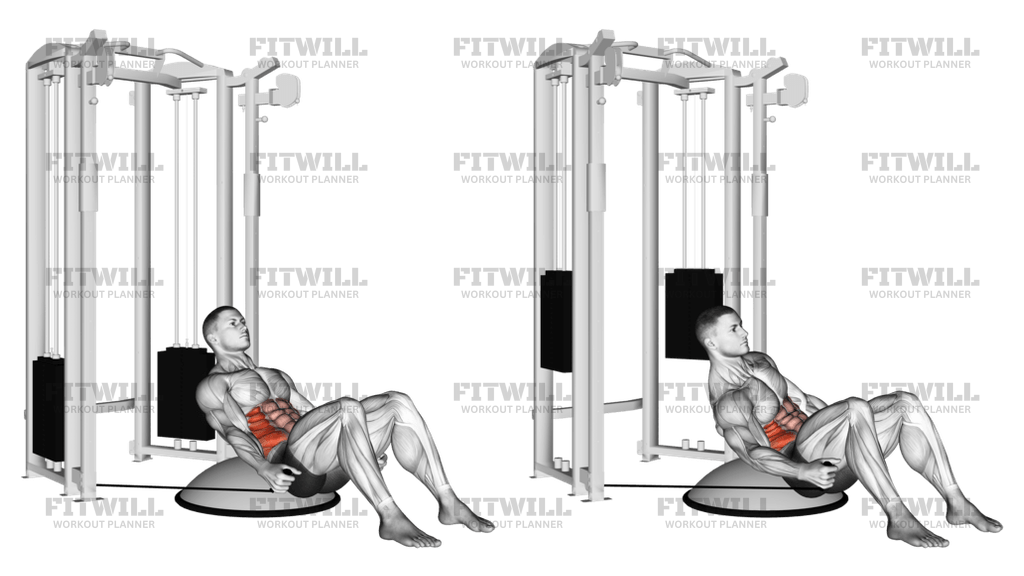 Cable Side Bend Crunch bosu Ball Exercise Guide Techniques Benefits How to Muscles Worked Tips Tricks Fitwill