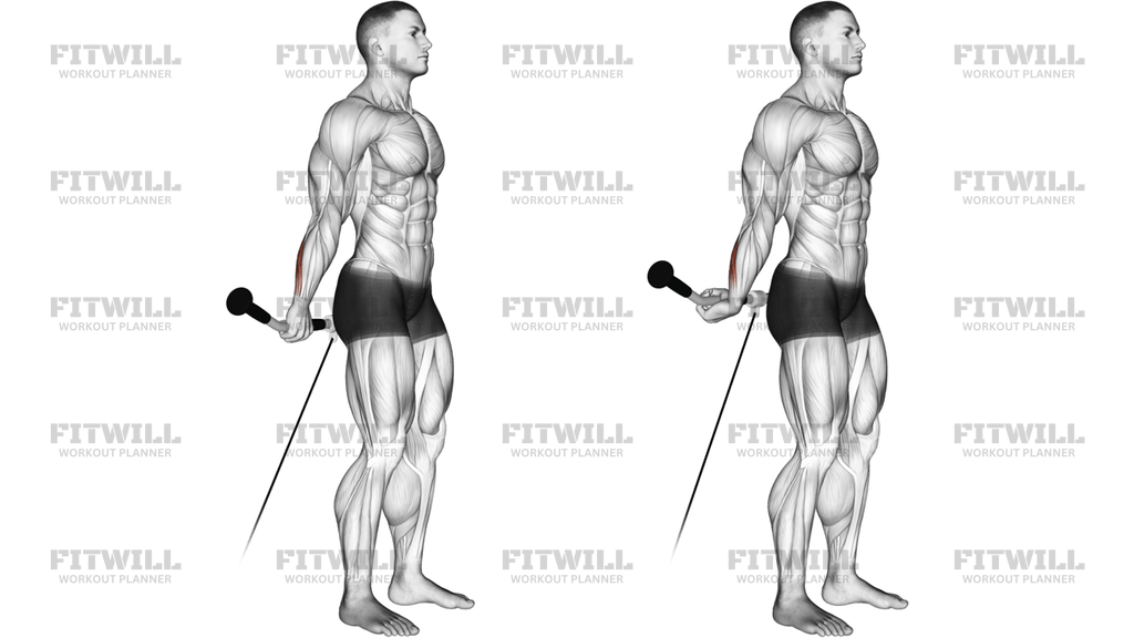 Cable Standing Back Wrist Curl