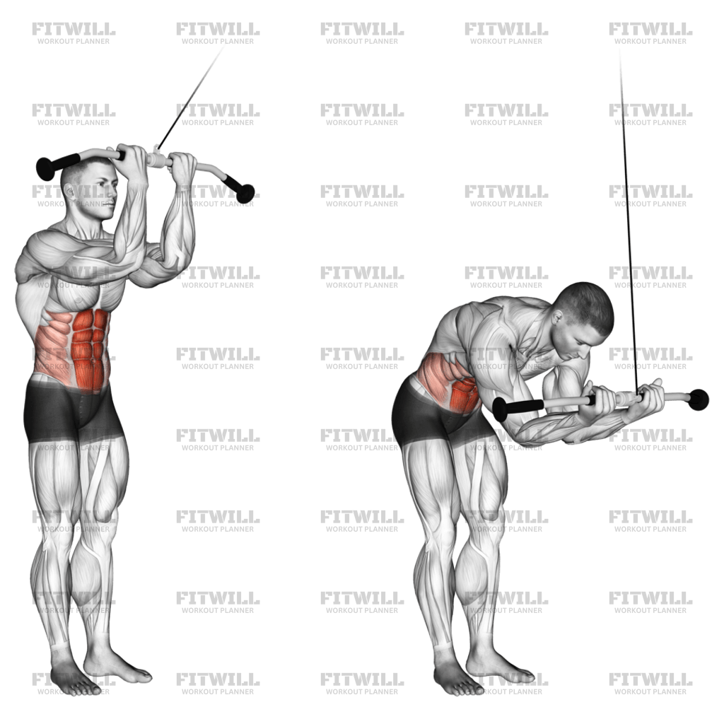 Cable Standing Crunch Exercise Guide Techniques Benefits How to Muscles Worked Tips Tricks Fitwill