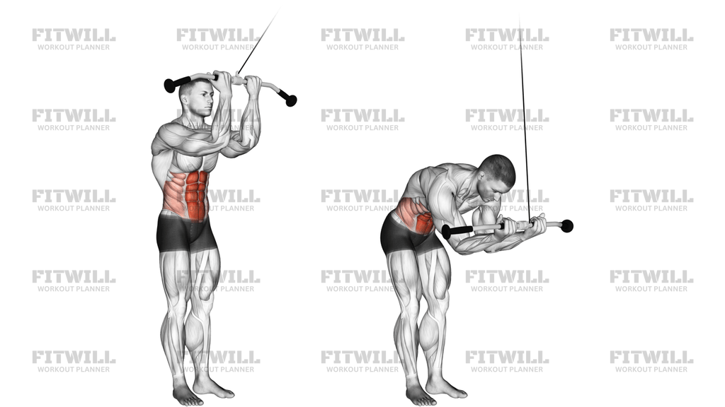 Cable Standing Crunch