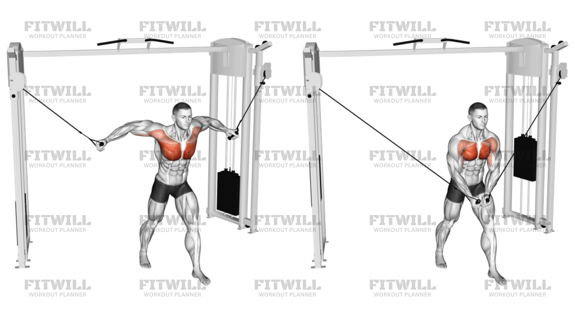 cable-standing-fly-exercise-guide-video-techniques-benefits-how-to