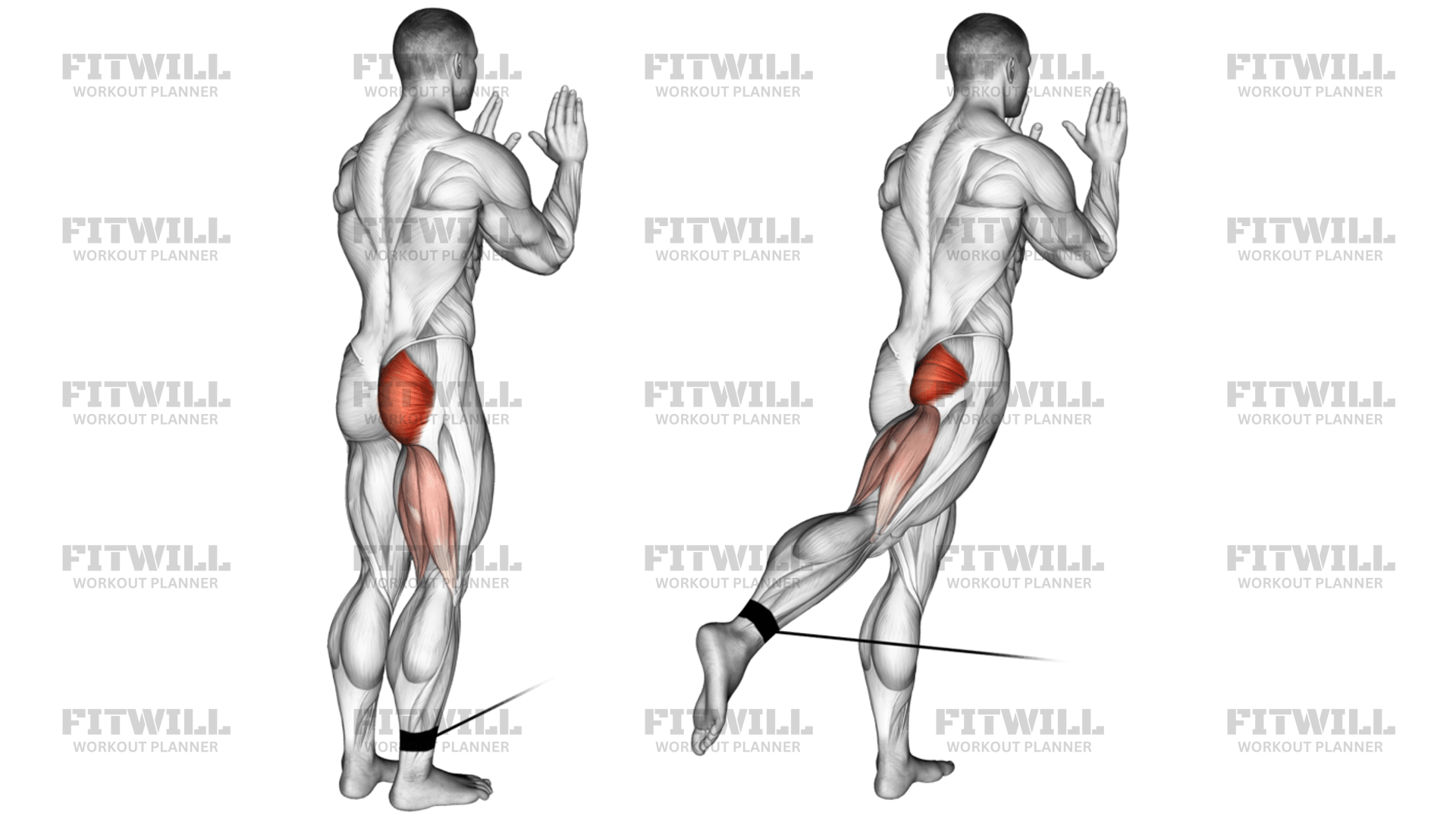 Cable Standing Hip Extension: Exercise Guide, Video, Techniques ...
