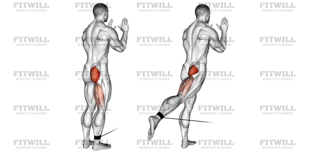 Cable Standing Hip Extension: Exercise Guide, Video, Techniques ...