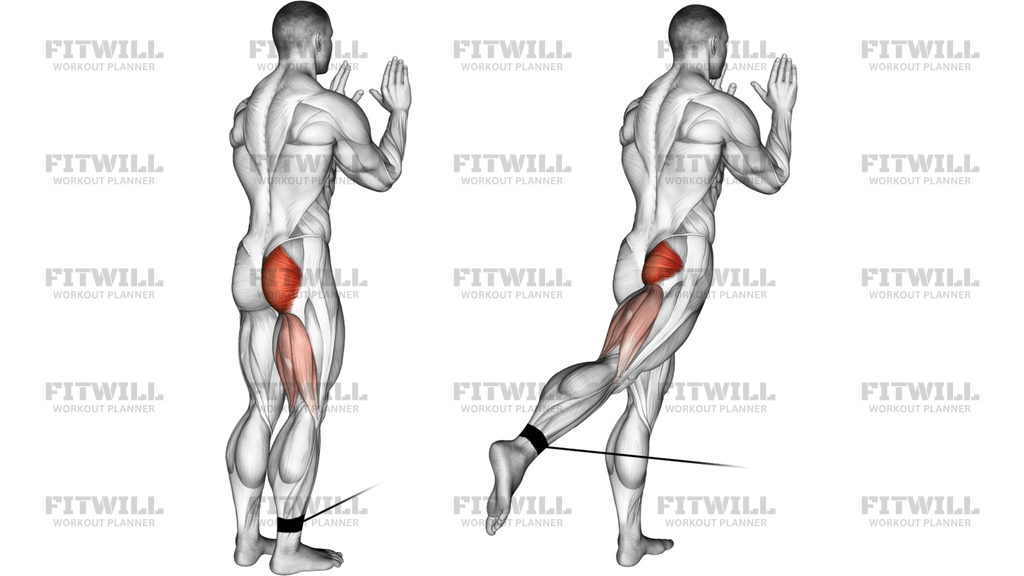 Cable Standing Hip Extension