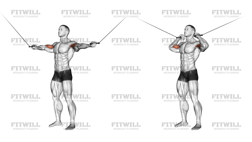 Cable Standing Inner Curl