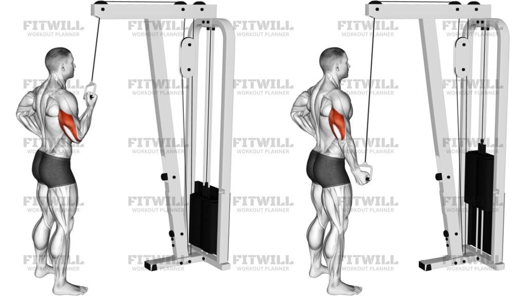 Cable Standing One-Arm Triceps Extension