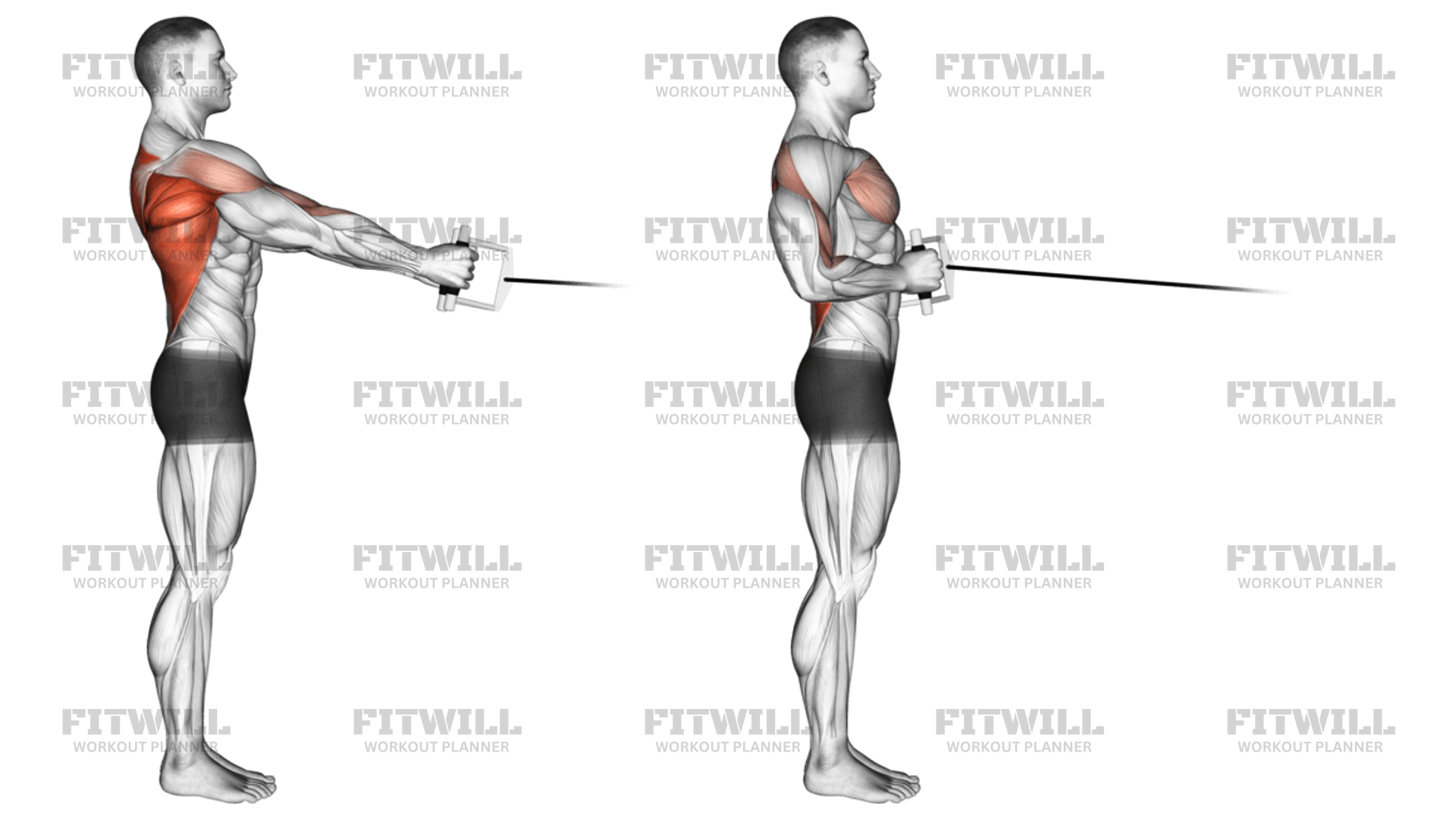 How to do Cable Standing Row (Vbar) Techniques, Benefits, Tips & Tricks Fitwill