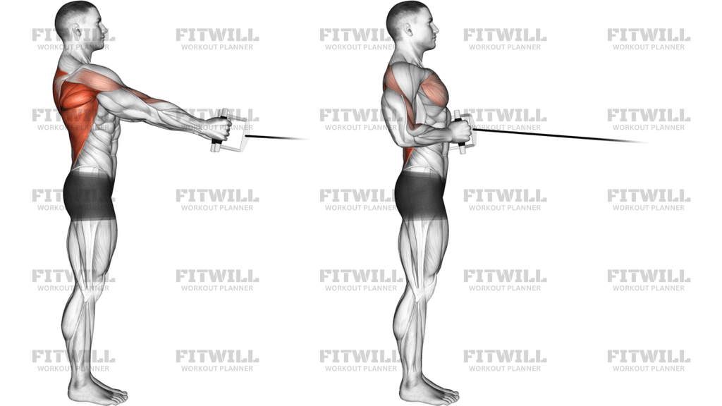 Cable Standing Row V-Bar