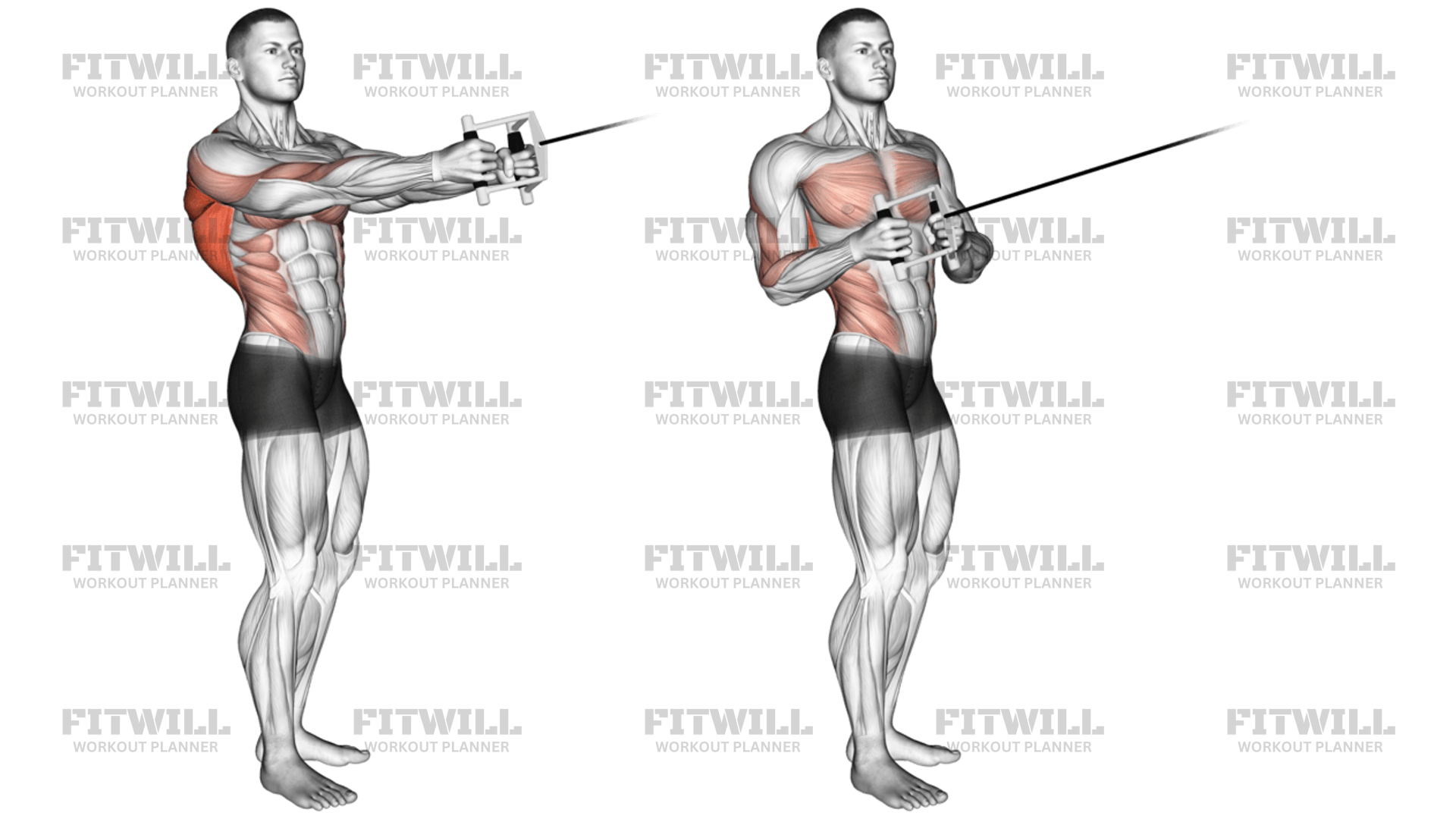 Cable Standing Twist Row V-Bar: Exercise Guide, Techniques, Benefits ...