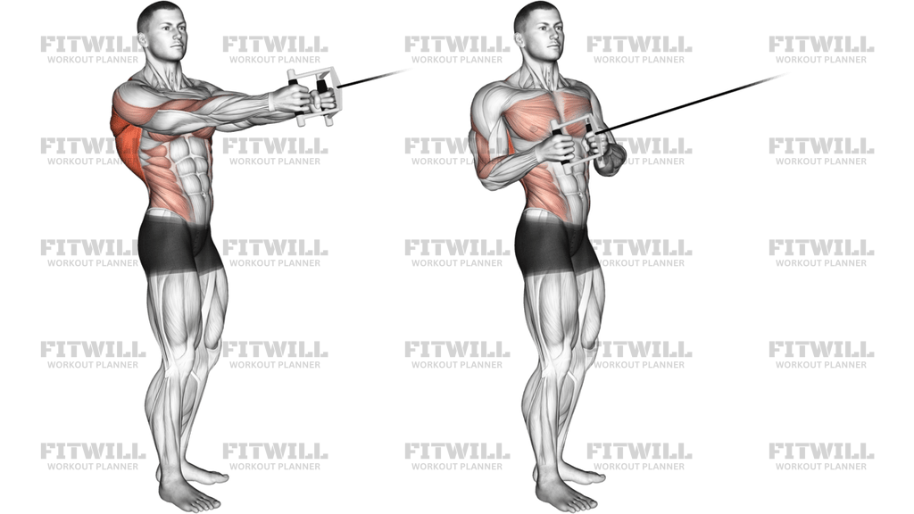 Cable Standing Twist Row V-Bar