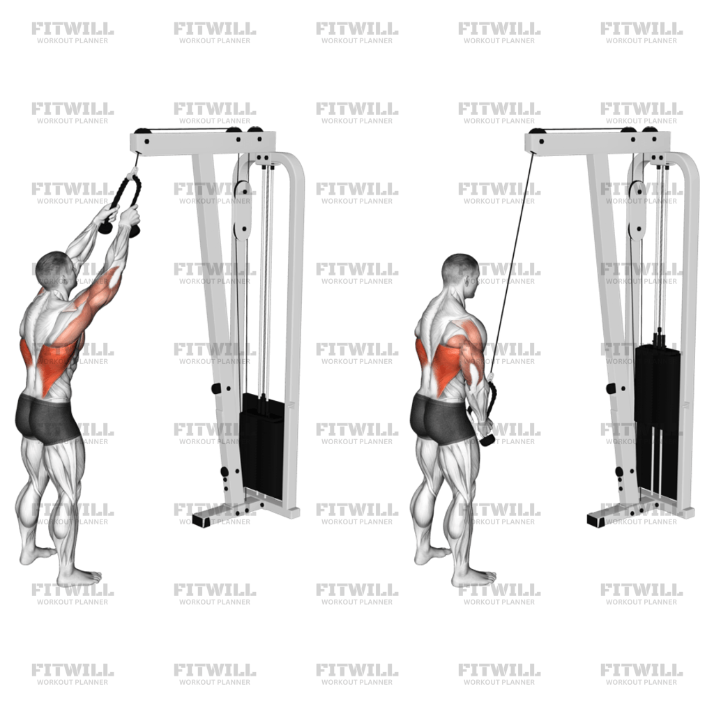 Cable Straight Arm Pulldown with Rope Exercise Guide Video Techniques Benefits How to Muscles Worked Tips Tricks Fitwill