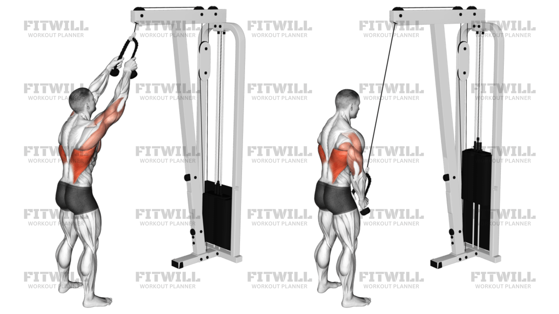 Cable Straight Arm Pulldown with Rope Exercise Guide Video Techniques Benefits How to Muscles Worked Tips Tricks Fitwill