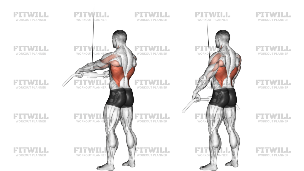 Cable Straight Arm Pulldown