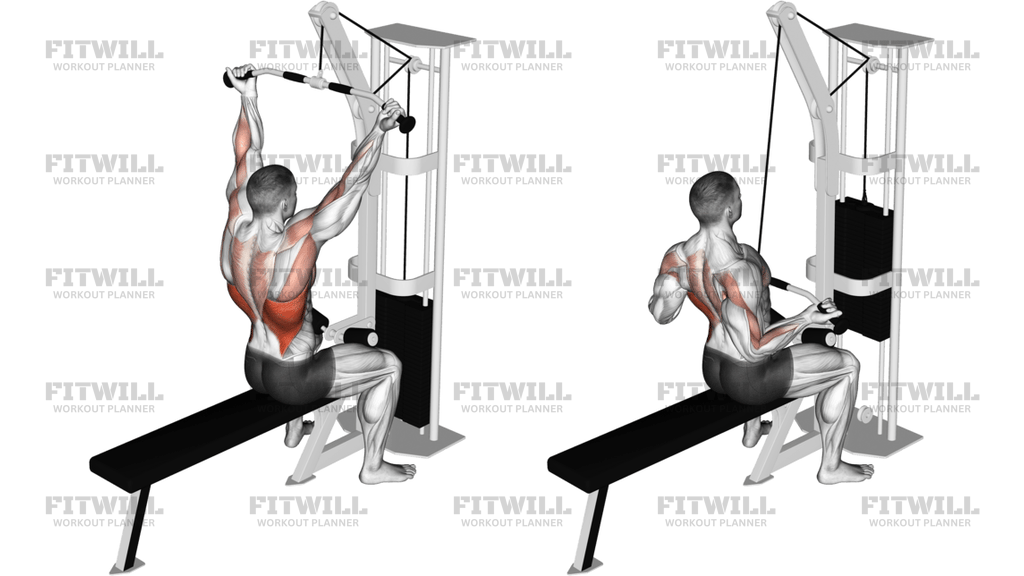 Cable Underhand Pulldown