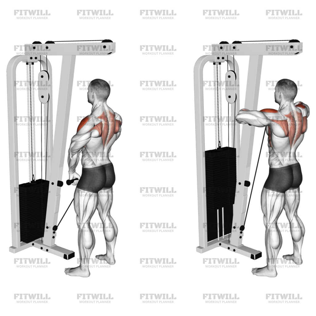 Cable Upright Row Exercise Guide Video Techniques Benefits How to Muscles Worked Tips Tricks Fitwill