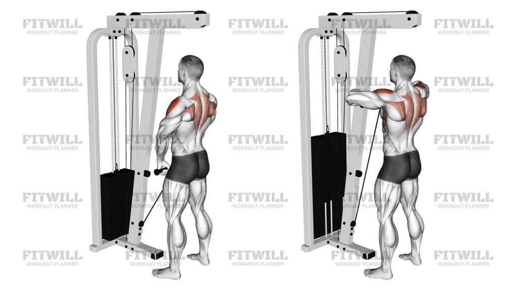 Cable Upright Row Exercise Guide Video Techniques Benefits How to Muscles Worked Tips Tricks Fitwill