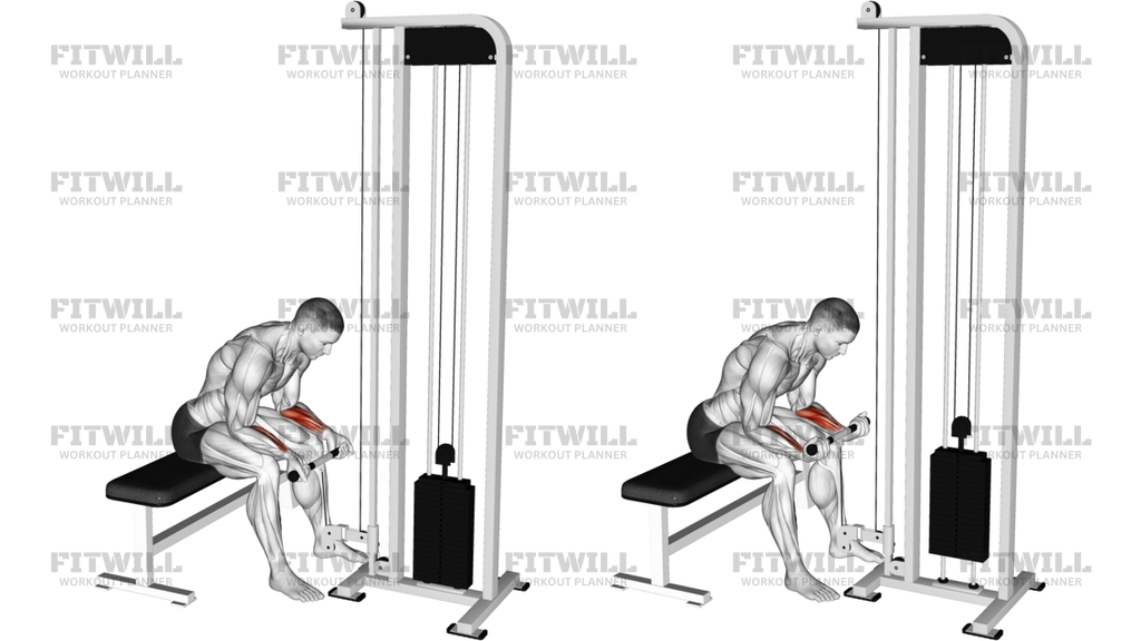 Cable Wrist Curl