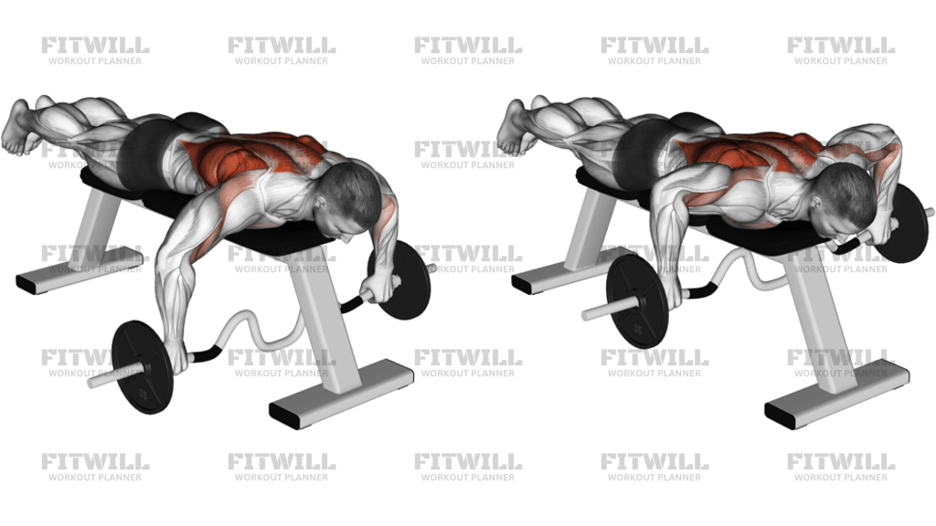 Cambered Bar Lying Row