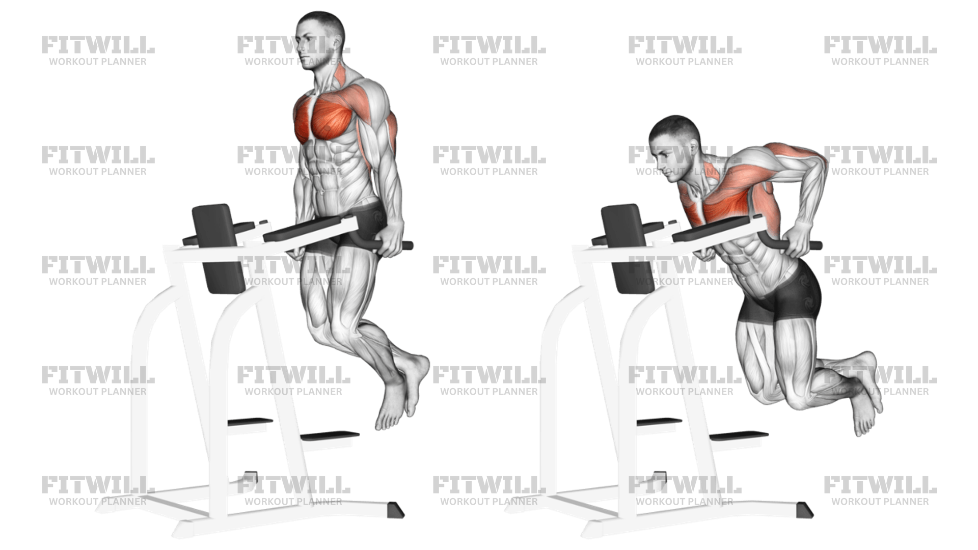 Chest Dip: Exercise Video, Guide, Techniques, Benefits, How to, Muscles