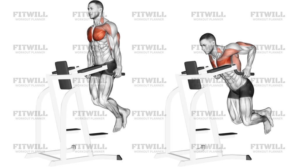 Chest Dip