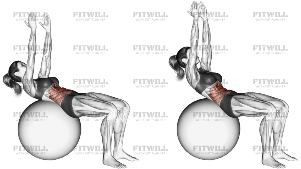 Crunch On Stability Ball, Arms Straight