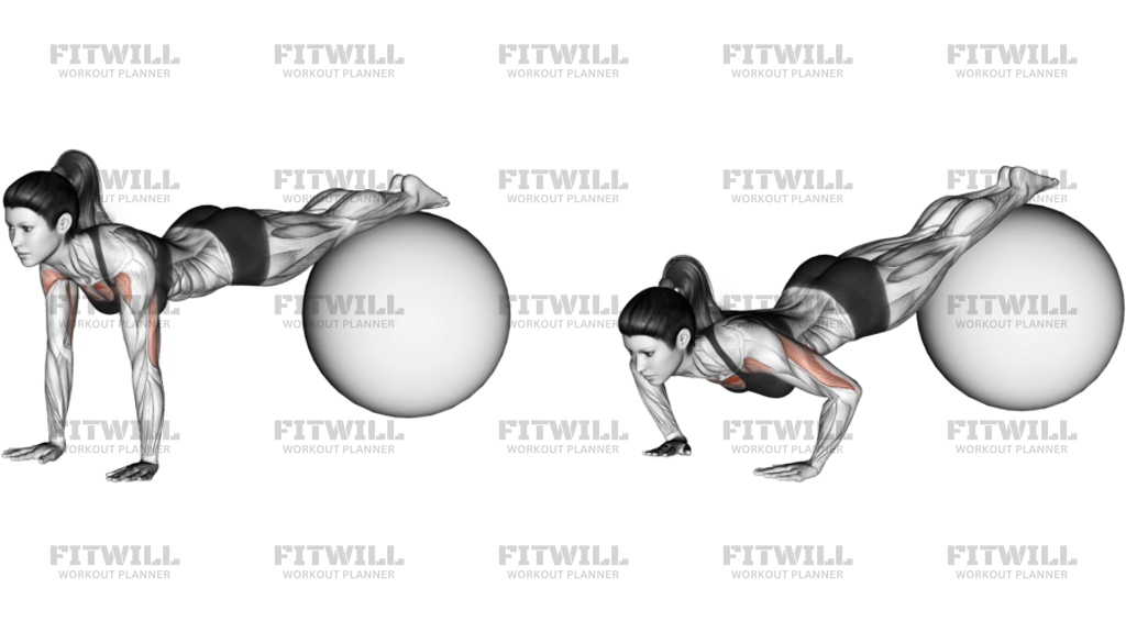 Decline Push-Up On Stability Ball