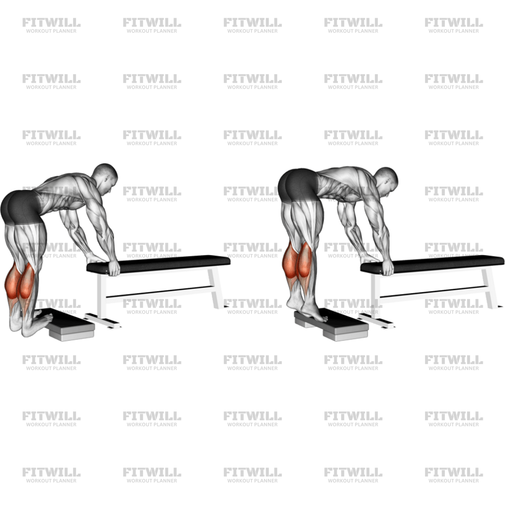 Donkey Calf Raise: Exercise Guide, Video, Techniques, Benefits, How to ...