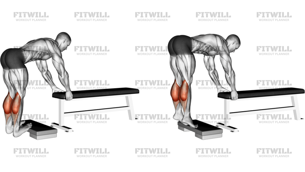 Donkey Calf Raise