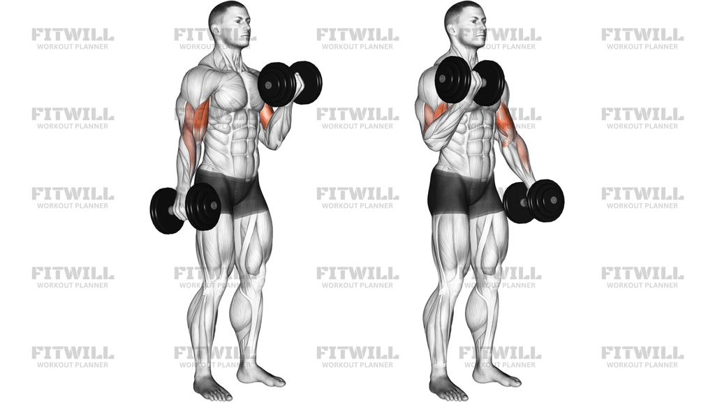 Dumbbell Alternate Biceps Curl
