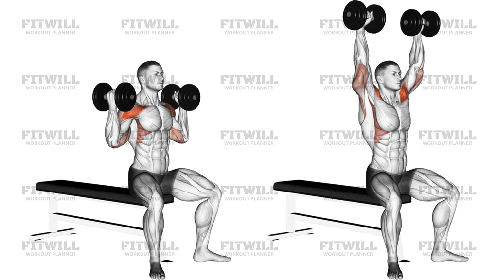 Dumbbell Arnold Press Version 2