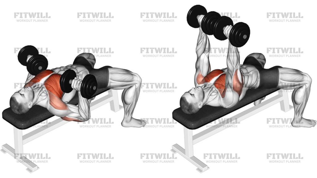Dumbbell Bench Press