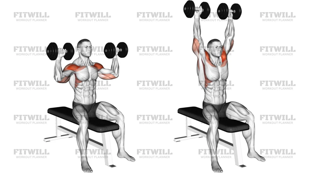Dumbbell Bench Seated Press