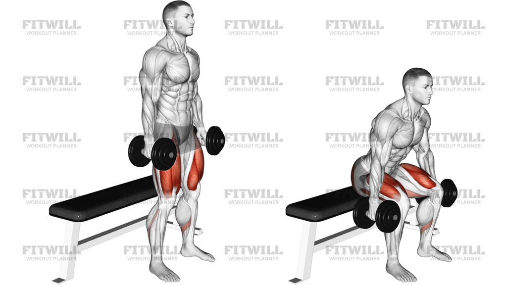 Dumbbell Bench Squat