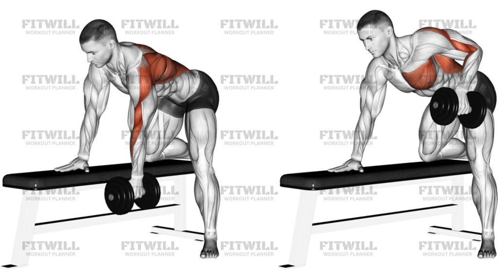 Dumbbell Row Left Side