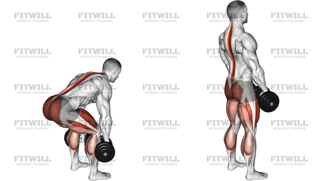 Dumbbell Deadlift