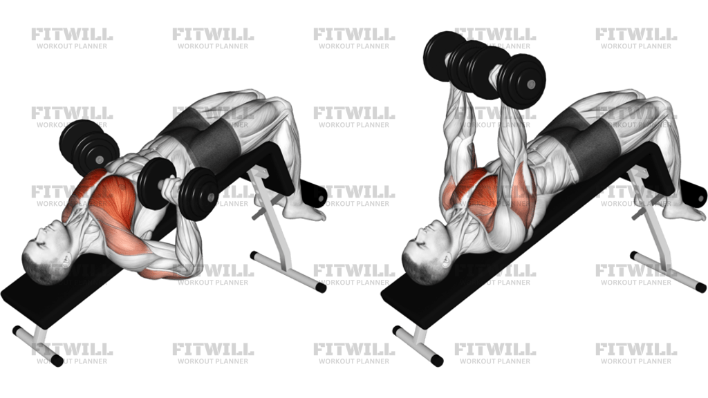Dumbbell Decline Bench Press