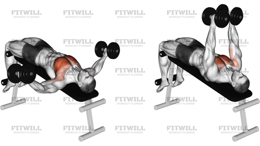 Dumbbell Decline Fly