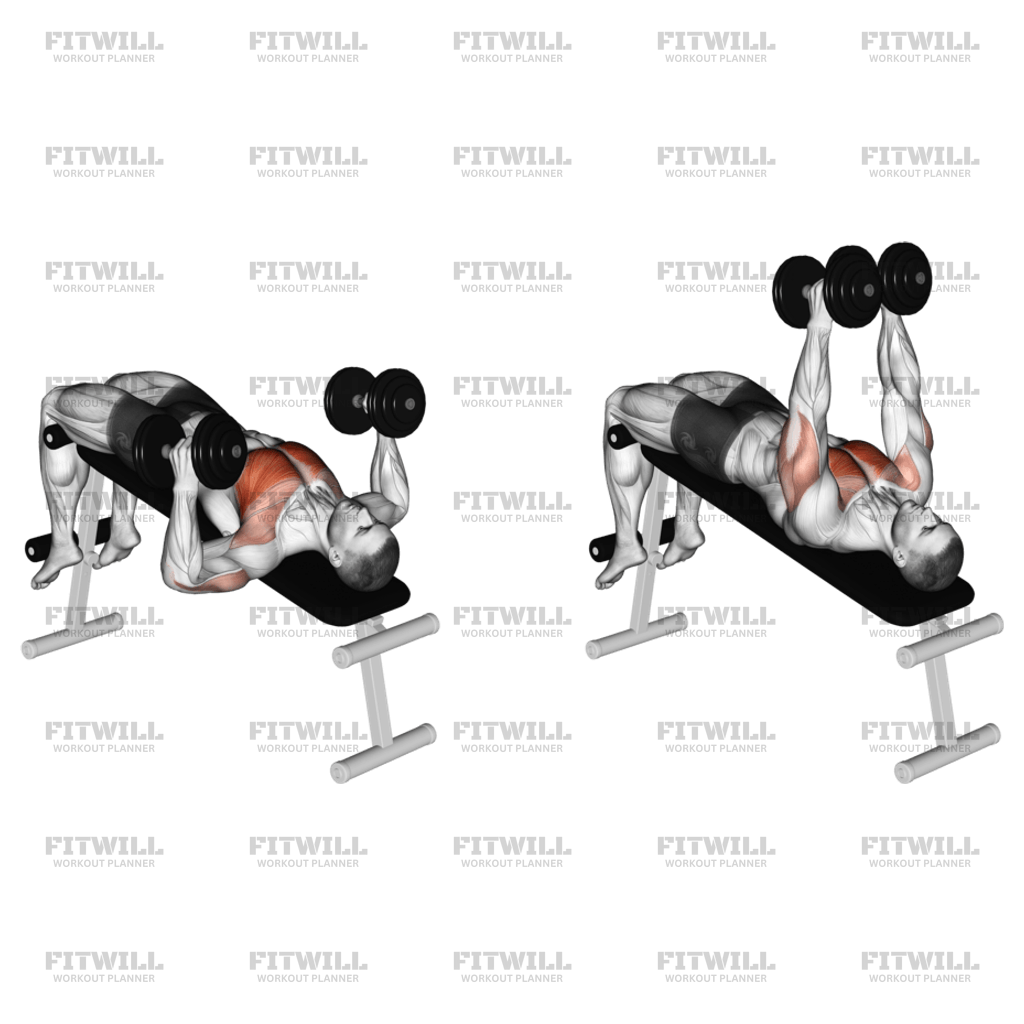 Hammer dumbbell bench press sale