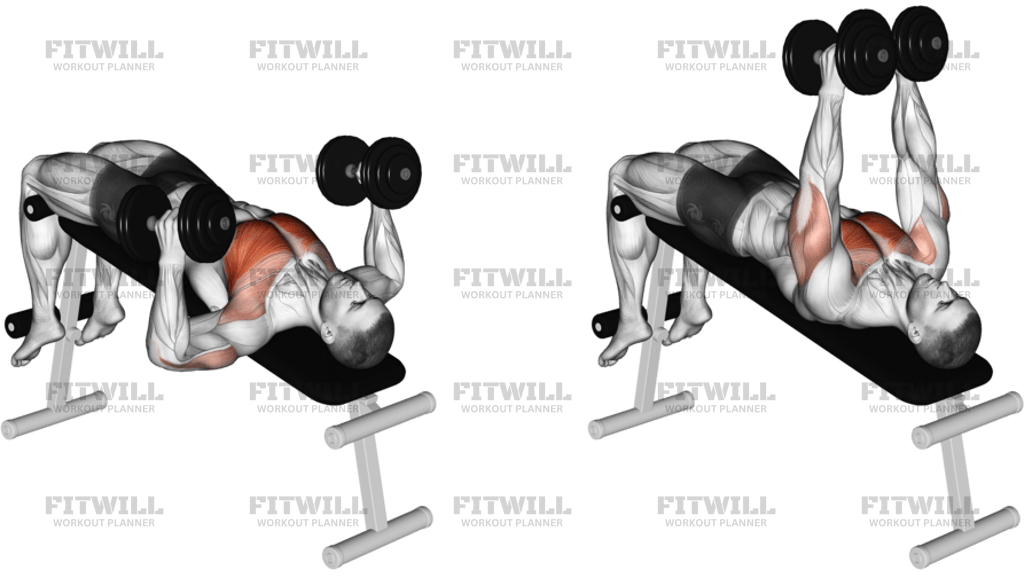 Dumbbell Decline Hammer Press