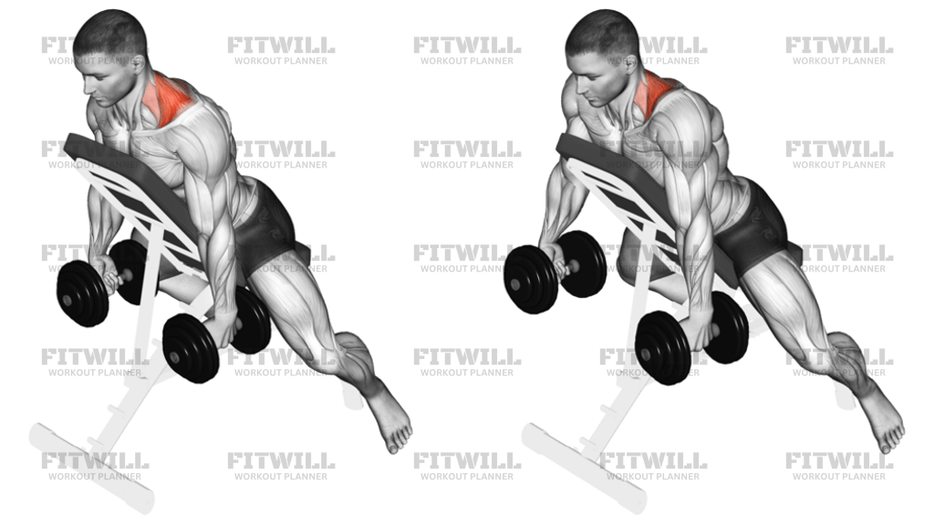 Dumbbell Decline Shrug