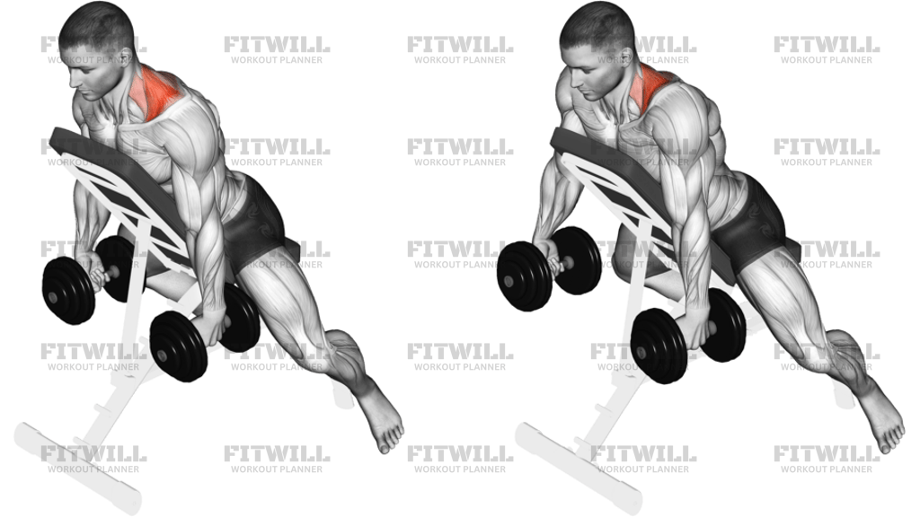 Dumbbell Decline Shrug