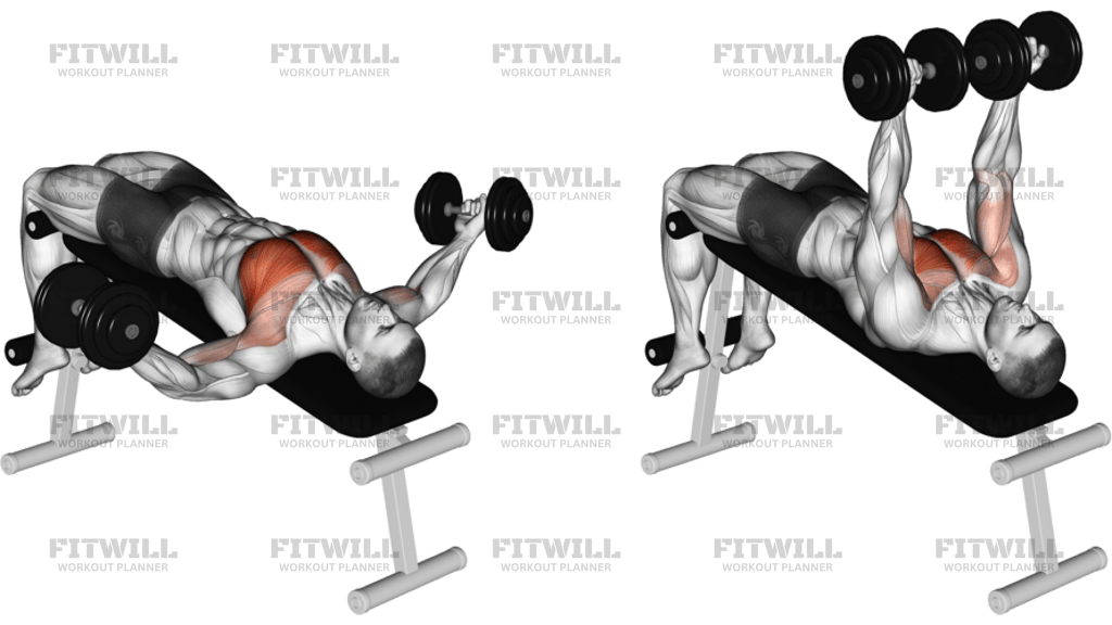 Dumbbell Decline Twist Fly