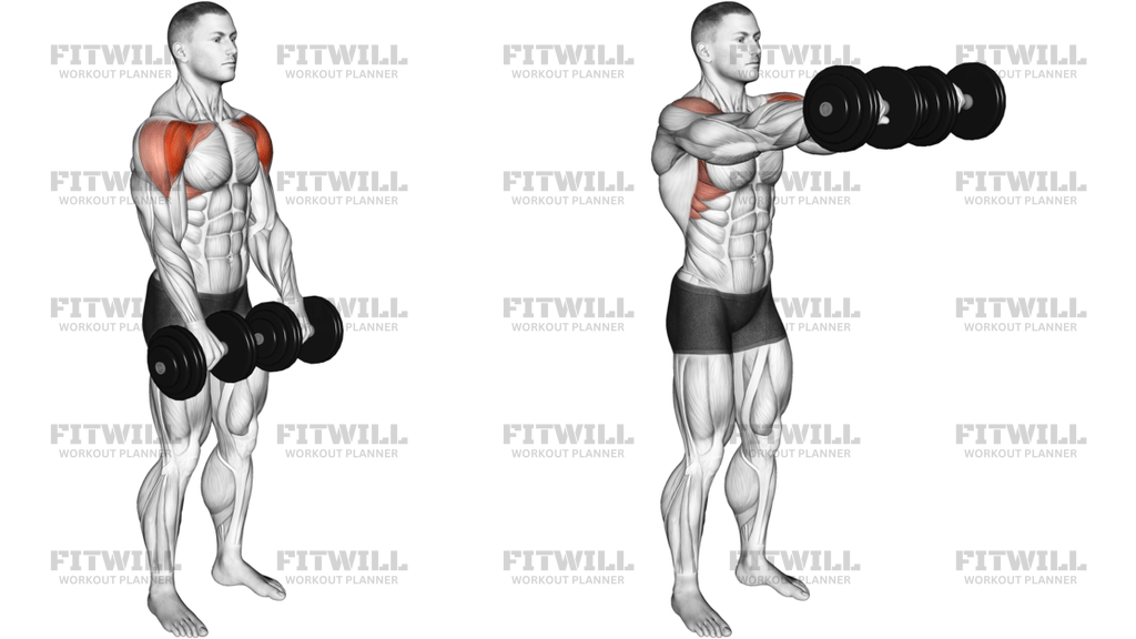 Dumbbell Front Raise