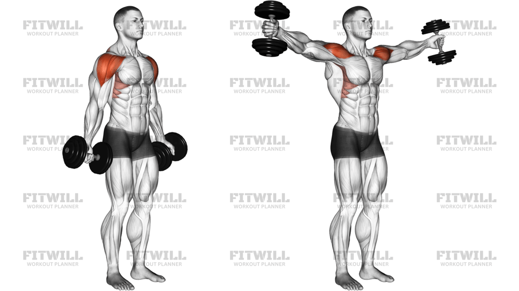 Dumbbell Full Can Lateral Raise