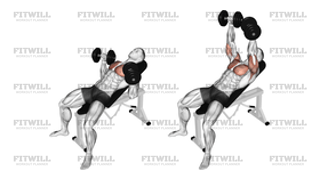 Dumbbell Incline Bench Press