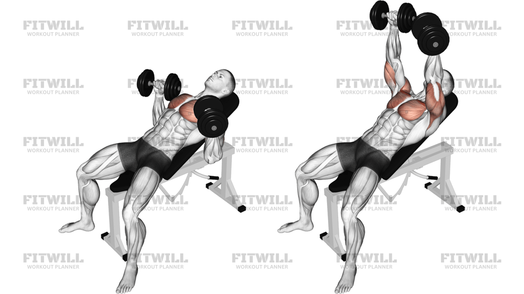 Dumbbell Incline Bench Press
