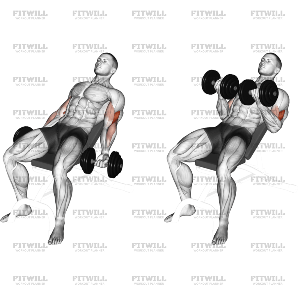 Dumbbell Incline Curl Version 2: Exercise Guide, Video, Techniques ...
